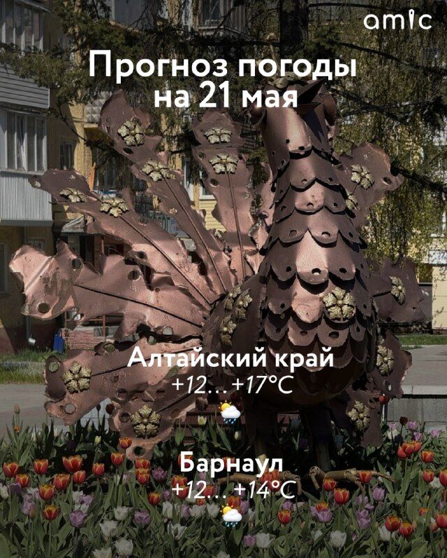 Доброе утро! О погоде в Алтайском крае 21 мая Доброе утро! О погоде в Алтайском крае 21 мая - Amic.ru, 21.05.2026