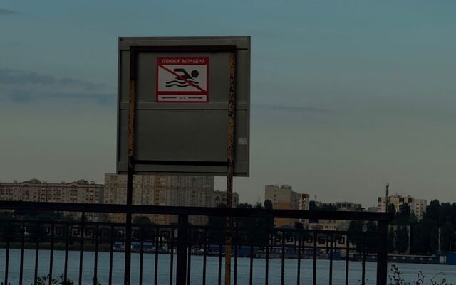 Четыре воронежских пляжа забраковали санврачи - 36ON Воронеж|Новости, 17.06.2026