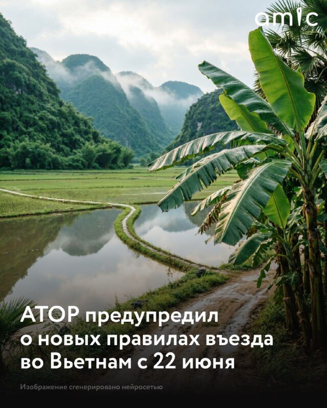 Новые правила въезда во Вьетнам начнут действовать с 22 июня 2026 года, сообщила Ассоциация туроператоров России (АТОР) ТАСС. Новые правила въезда во Вьетнам начнут действовать с 22 июня 2026 года, сообщила Ассоциация туроператоров России (АТОР) ТАСС. - Amic.ru, 19.06.2026