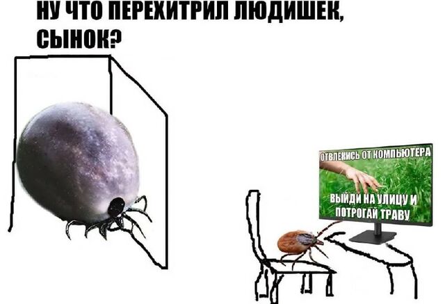 Каждый третий клещ в России — заразный. Каждый третий клещ в России — заразный. - Челябинск, который смог, 21.06.2026