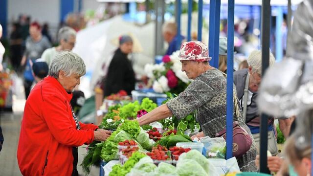 Свое, домашнее: дачные овощи и зелень появились в продаже - DVHAB.ru, 25.06.2026