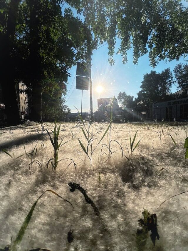 Привет, Комсомольск! - Komsagram • Комсомольск-на-Амуре, 25.06.2026
