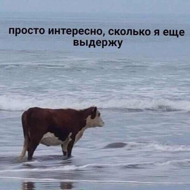Топливный кризис в Нижегородской области быстро стал новой реальностью — на некоторых заправках бензина будто и не бывало, на других круглосуточные очереди, третьи нагло задирают цены. Неприятно, но многим жителям деваться некуда. - Новости Нижнего Новгорода | NN.RU, 10.07.2026