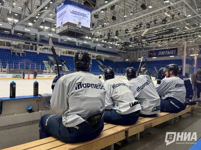 Букмекер PARI прекратил сотрудничество с нижегородским ХК «Торпедо» - НИА "Нижний Новгород", 10.07.2026