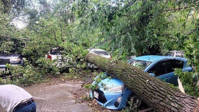 Два человека погибли после урагана в Ростовской области - Privet-Rostov.ru - новости Ростов-на-Дону, 28.07.2026