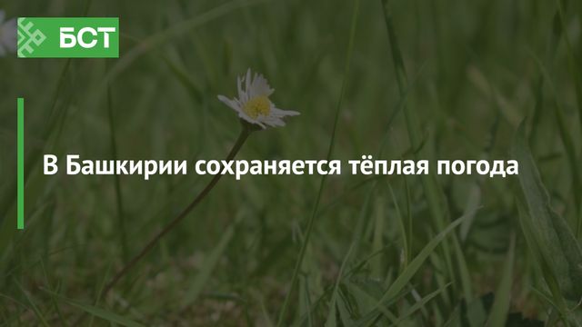 Синоптики Башкирии рассказали о погоде на ближайшие сутки Синоптики Башкирии рассказали о погоде на ближайшие сутки - Новости Республики Башкортостан и Уфы ( БСТ ), 11.07.2026