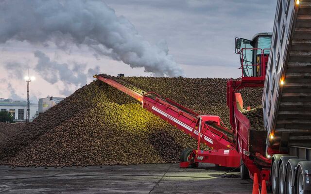 «Продимекс» убрал 98% от плановой площади сахарной свеклы в Воронежской области -  Агентство Бизнес Информации, 19.11.2025