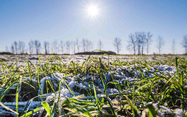 На агропредприятиях ГК «Продимекс» в Воронежской области стартовал сельхозсезон-2026 -  Агентство Бизнес Информации, 18.03.2026