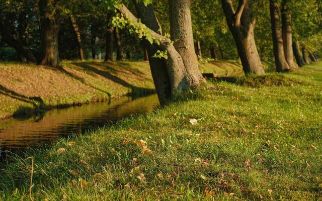 Инвестиции в воронежский парк «Танаис» выросли почти вдвое -  Агентство Бизнес Информации, 14.04.2026