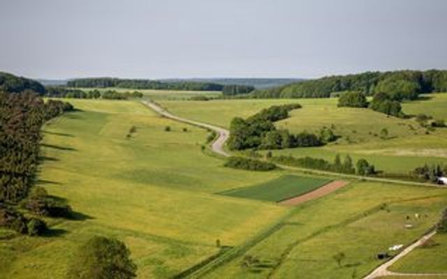 Прокуратура вернула в госсобственность более 930 га земли в Воронежской области -  Агентство Бизнес Информации, 28.07.2026