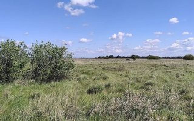 Воронежское КБ «Полюс» продает 115 га в Панинском районе за 102 млн рублей -  Агентство Бизнес Информации, 29.07.2026