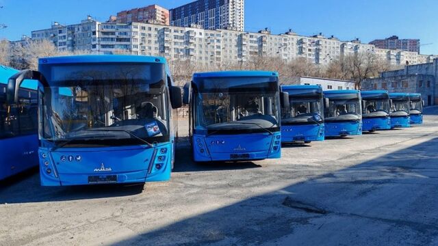 Владивосток получил новую партию автобусов из Белоруссии Владивосток получил новую партию автобусов из Белоруссии - Восток-Медиа | Новости Приморья и Владивостока, 07.11.2025