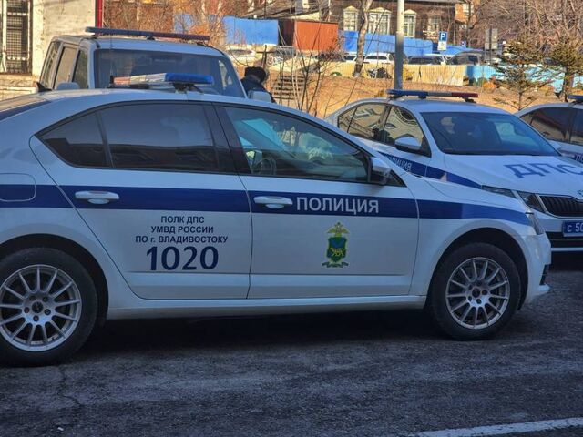 В Приморье сотрудник ДПС избил водителя после погони - Пресс-поток - Приморье24 Информационное агентство, последние новости Владивостока и Приморского края, 14.05.2025