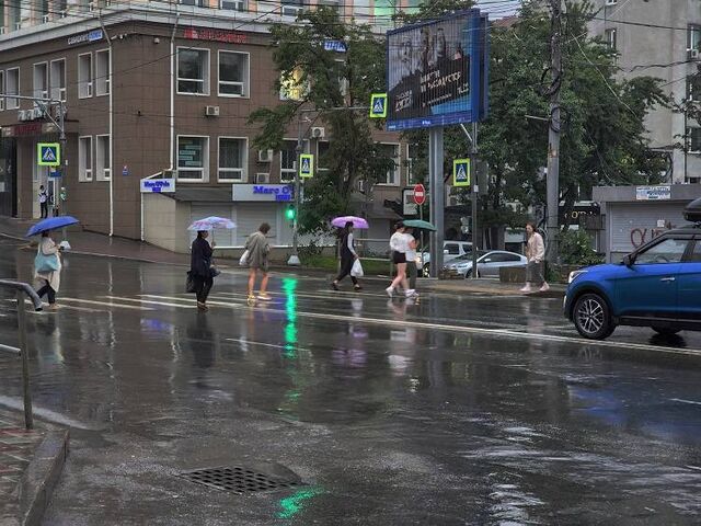 Новая неделя в Приморье начнется с дождей: подробности - Пресс-поток - Приморье24 Информационное агентство, последние новости Владивостока и Приморского края, 23.05.2025
