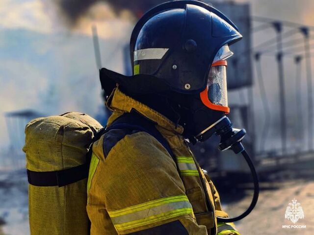Более 4 тысяч ландшафтных пожаров зафиксировано в Приморье с начала года - Пресс-поток - Приморье24 Информационное агентство, последние новости Владивостока и Приморского края, 24.05.2025