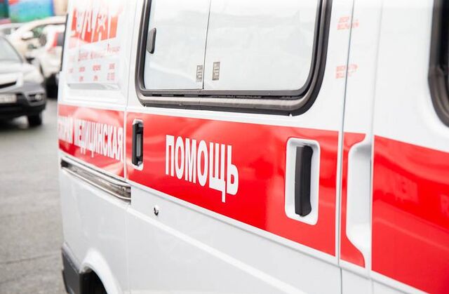 Врачи Приморья фиксируют до 500 случаев укуса змей - Пресс-поток - Приморье24 Информационное агентство, последние новости Владивостока и Приморского края, 23.07.2025