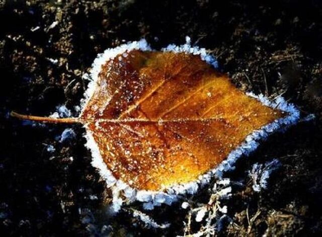 В субботу в Приморье возможен снег - Пресс-поток - Приморье24 Информационное агентство, последние новости Владивостока и Приморского края, 08.11.2025