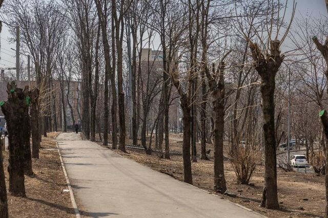 Аллея на Кирова преобразится: концепцию обсудят во Владивостоке Аллея на Кирова преобразится: концепцию обсудят во Владивостоке - Пресс-поток - Приморье24 Информационное агентство, последние новости Владивостока и Приморского края, 18.11.2025