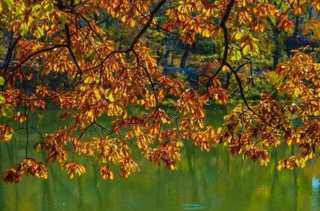 Теплый четверг ждет приморцев: подробнее о погоде на завтра - Пресс-поток - Приморье24 Информационное агентство, последние новости Владивостока и Приморского края, 19.11.2025