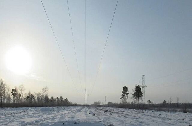 Энергетики расчистят 4 тысячи гектаров леса возле ЛЭП в Приморье - Пресс-поток - Приморье24 Информационное агентство, последние новости Владивостока и Приморского края, 22.03.2026