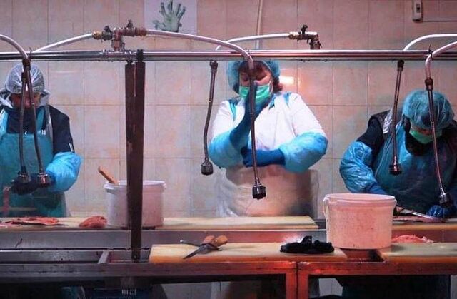 В Приморье местный производитель рыбы нарастит мощности благодаря гранту - Пресс-поток - Приморье24 Информационное агентство, последние новости Владивостока и Приморского края, 30.05.2026