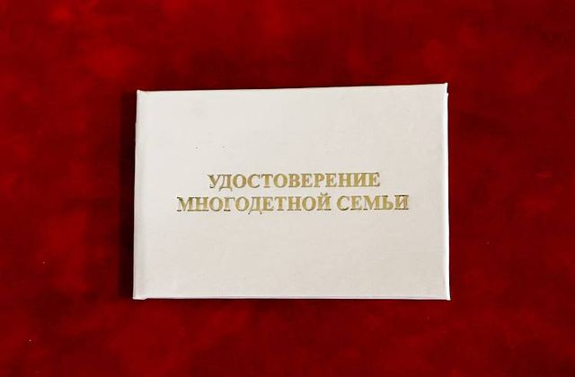 Более 900 многодетных семей в Приморье получили денежные выплаты вместо земельных участков Более 900 многодетных семей в Приморье получили денежные выплаты вместо земельных участков - Пресс-поток - Приморье24 Информационное агентство, последние новости Владивостока и Приморского края, 17.07.2026