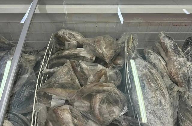 В Приморье по социальной программе реализовано более 2,2 тонны свежего минтая - Пресс-поток - Приморье24 Информационное агентство, последние новости Владивостока и Приморского края, 15.08.2026