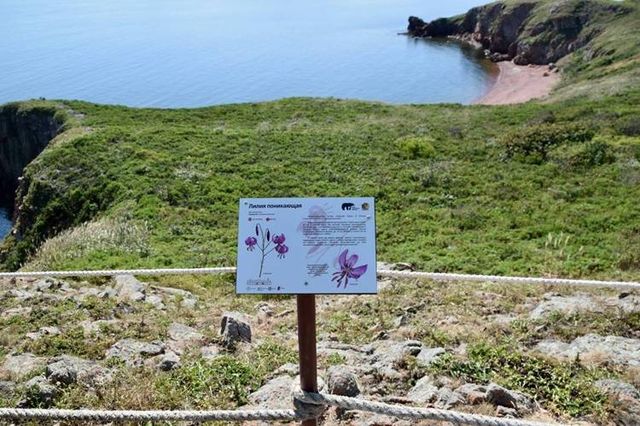 Первая экотропа открыта в Морском заповеднике на острове Попова - Пресс-поток - Приморье24 Информационное агентство, последние новости Владивостока и Приморского края, 28.09.2026