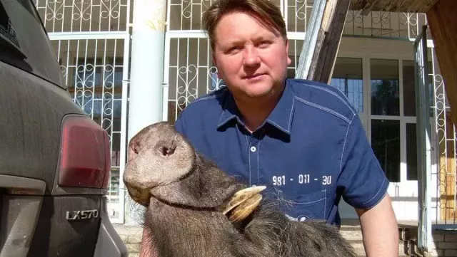 Предпринимателя Дмитрия Дзепу задержали в Нижнем Новгороде - Новости Нижнего Новгорода и Нижегородской области - NewsNN, 21.11.2024