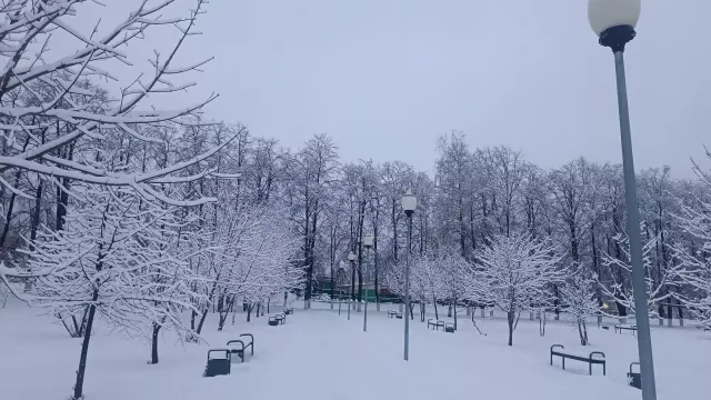 Морозы до -10 градусов придут в Нижний Новгород 6 января - Новости Нижнего Новгорода и Нижегородской области - NewsNN, 05.02.2025