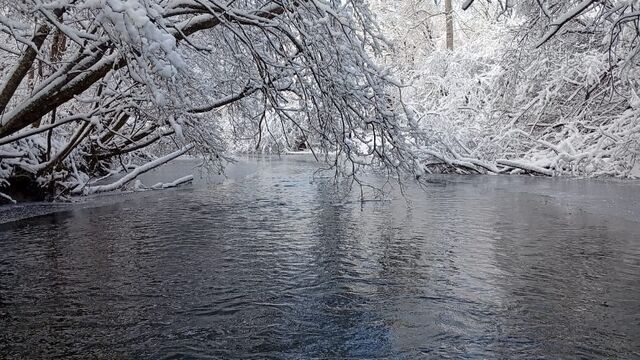 Последние трофеи осени: сказочная рыбалка в Приморье — фото - Восток-Медиа | Новости Приморья и Владивостока, 19.11.2025