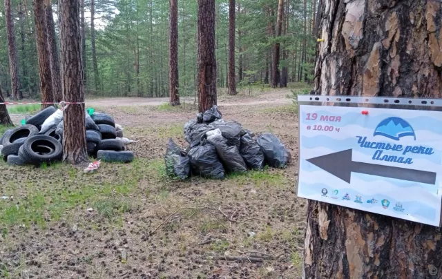 30 автомобильных шин удалось собрать активистам с берега Барнаулки - Вечерний Барнаул, 21.05.2024