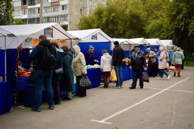 Товарооборот продовольственных ярмарок 7 сентября в Барнауле составил больше 8 миллионов рублей - Вечерний Барнаул, 08.09.2024