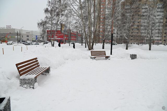 Сквер на улице Антона Петрова в Барнауле продолжат благоустраивать в этом году - Вечерний Барнаул, 04.02.2025