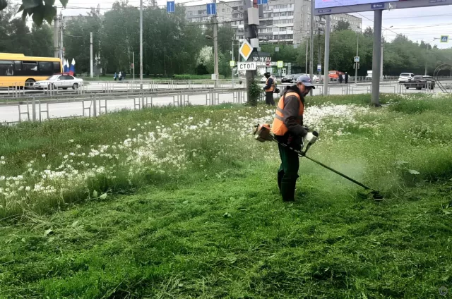 В Барнауле начали покос травы на общественных территориях - Вечерний Барнаул, 15.05.2025