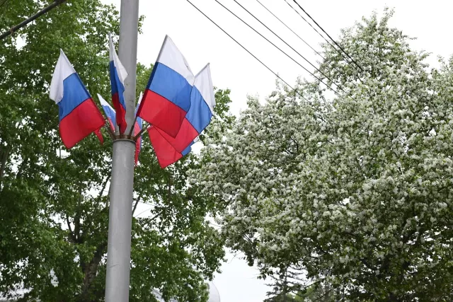 Город-сад: цветники, деревья и кустарники Барнаула радуют глаз - Вечерний Барнаул, 16.05.2025