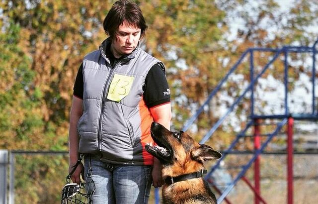 Зачем опытные собаководы Барнаула регистрируют своих питомцев, у которых уже есть клеймо - Вечерний Барнаул, 26.06.2025