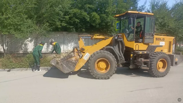 К работам по благоустройству Барнаула присоединился экологический отряд - Вечерний Барнаул, 09.07.2025