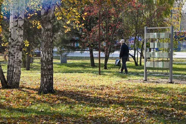 Сегодня в Барнауле будет +10 градусов - Вечерний Барнаул, 24.10.2025