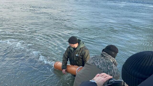 Около 40 тысяч мальков сазана выпустили в Обь на территории Алтайского края - Вечерний Барнаул, 06.11.2025