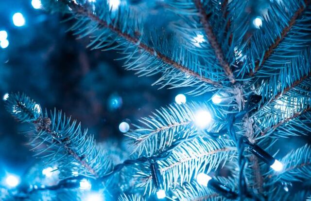 В Барнауле парк «Центральный» закроют на четыре дня в связи с подготовкой к новогодним праздникам - Вечерний Барнаул, 08.11.2025