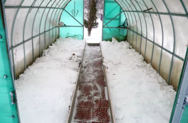 Весенние заботы: барнаульский эксперт рассказала, какие садовые работы важно выполнить в марте - Вечерний Барнаул, 08.03.2026