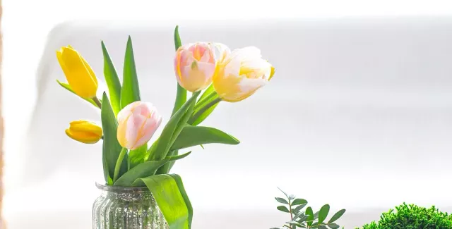 Ждём май: когда будут следующие мини-каникулы в России - Вечерний Барнаул, 09.03.2026