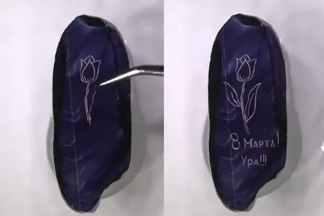 Микроминиатюрист из Новосибирска нарисовал цветок на рисовом зёрнышке в честь 8 Марта - Вечерний Барнаул, 09.03.2026