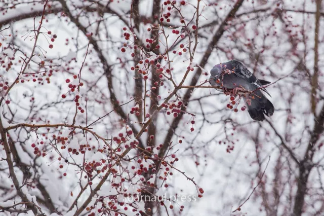 Что принесёт удачу 9 марта: народные приметы - Вечерний Барнаул, 09.03.2026