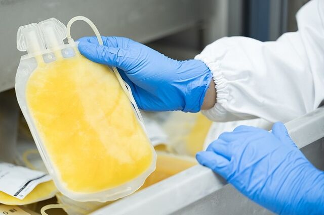 В Алтайском краевом центре крови начали заготовку иммунной антирезусной плазмы - Вечерний Барнаул, 15.03.2026