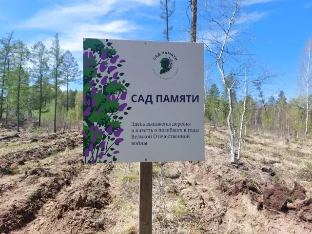 Более двух миллионов деревьев высадят в лесничествах Алтайского края - Вечерний Барнаул, 20.03.2026