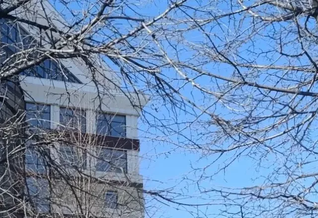 17 апреля в Барнауле ожидается небольшой мокрый снег - Вечерний Барнаул, 17.04.2026