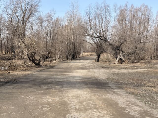 В барнаульском микрорайоне Затон открыли движение по дороге на остров Шубинский - Вечерний Барнаул, 20.04.2026