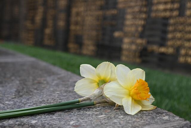 В Барнауле ищут родственников бойцов, погибших в годы Великой Отечественной войны - Вечерний Барнаул, 22.04.2026
